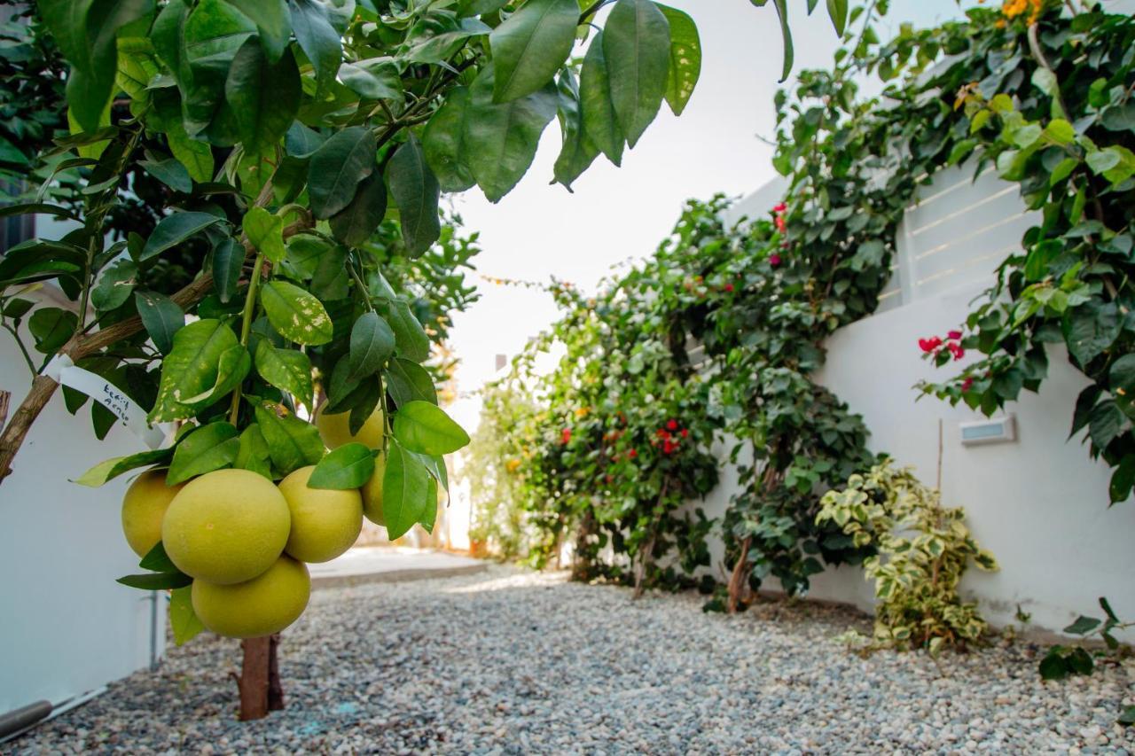 Island Home Seaside Villa Paralimni Buitenkant foto